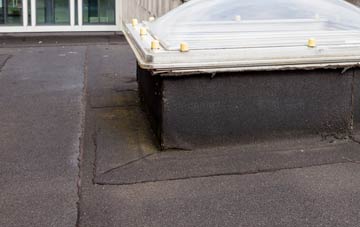 disadvantages of Tyninghame flat roofs